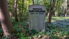 Grabstätte von Max Friedländer